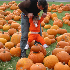 Pumpkin Hopping.jpg