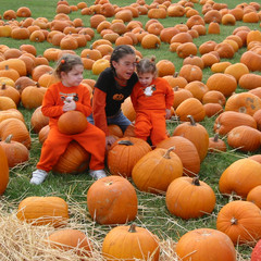 Pumpkin Picture.jpg