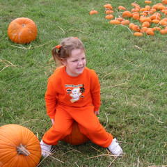 Pumpkin Sitting.jpg