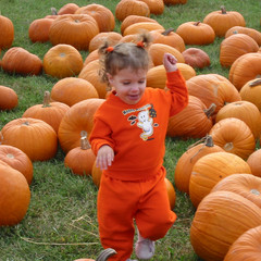 Running Through the Pumpkins.jpg