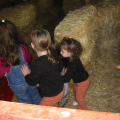 A Hay Maze.jpg
