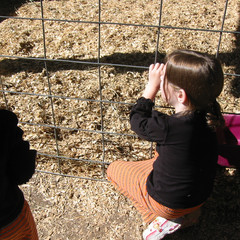Aubri Watching the Animals.jpg