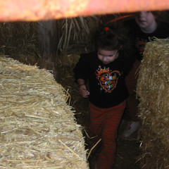 Through the Hay Maze.jpg