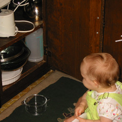 my cabinet.jpg