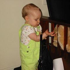that is my purse.jpg