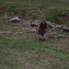 Ready to Pounce.JPG
