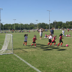 Following the Ball.jpg