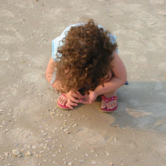 Finding Shells.JPG