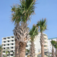 Ourside Our Condo.JPG