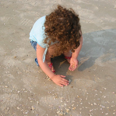 Shell Searching.JPG