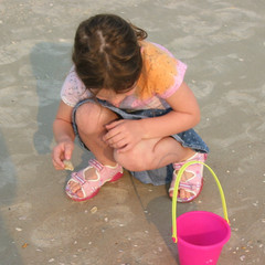 Shells Shells Shells.JPG