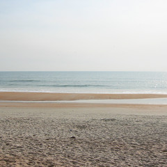 The Beach Behind Our Condo.JPG
