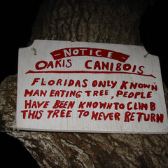 The Sign on the Tree Mom was Climbing.JPG