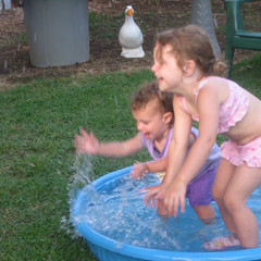 Splish Splash.jpg