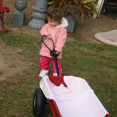Ana Pulls the Wagon.jpg